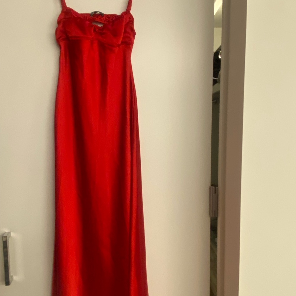Zara Strapless Scarlet Dress